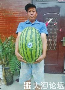 吃瓜网每日大赛 反差大赛51